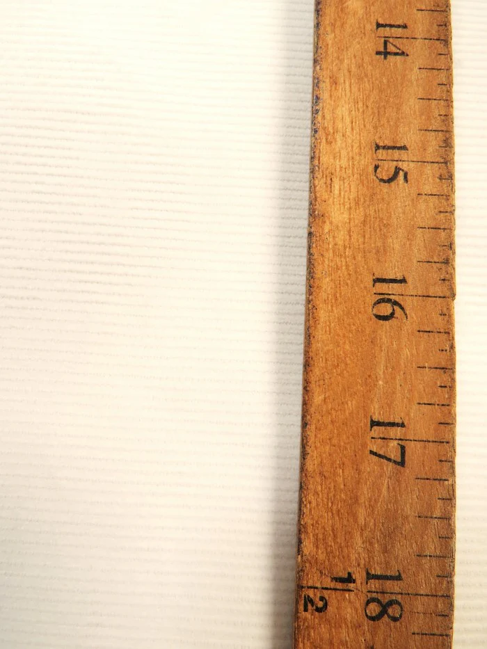 14 Wale Corduroy 100% Cotton / Prime for Dye / Rib Corduroy - Image 4