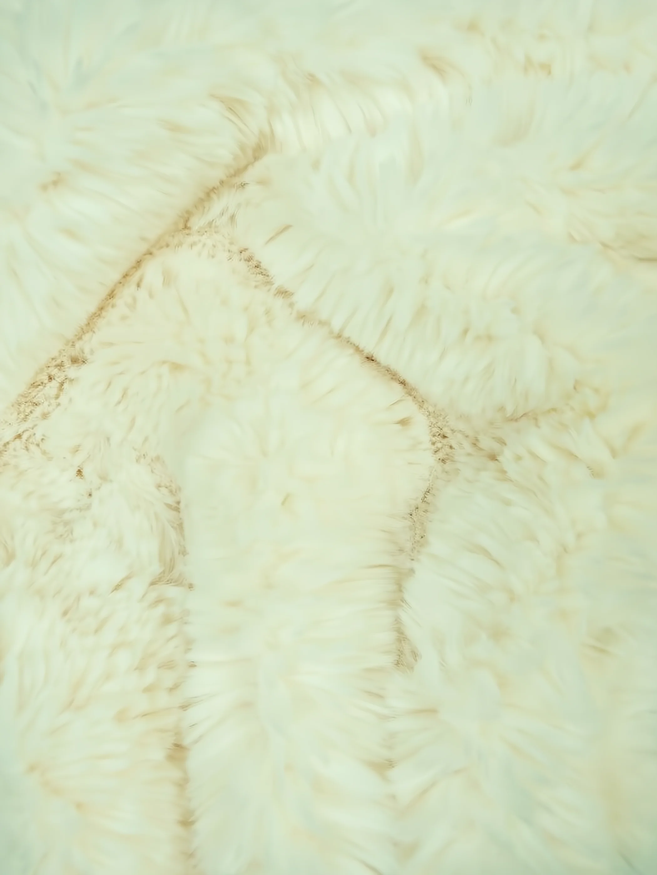 30 Yard Roll of Arctic Rabbit Minky / Ivory