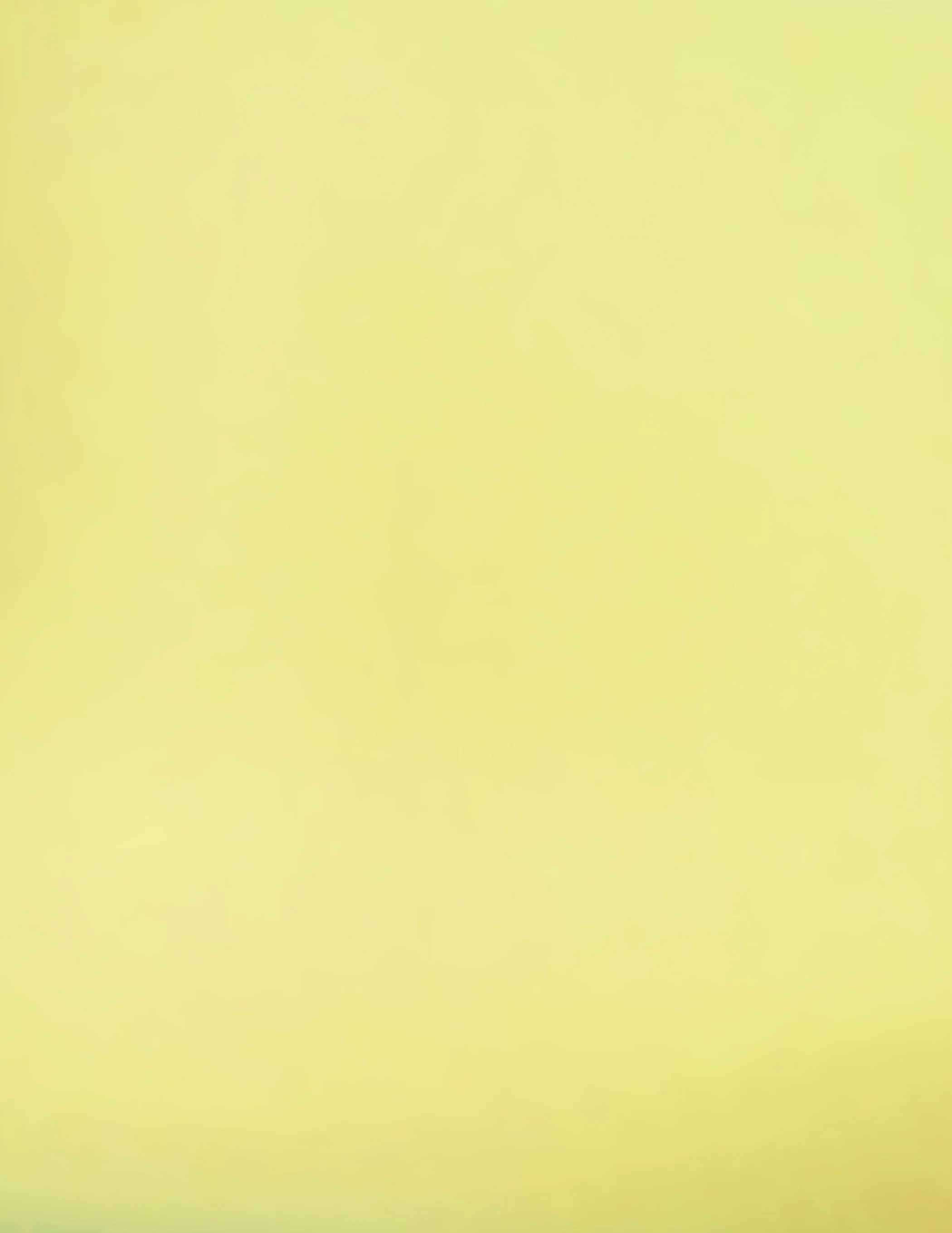 BANANA Heat Transfer Apparel Flocking Suede PVC Backed Fabric / Sold by the Yard
