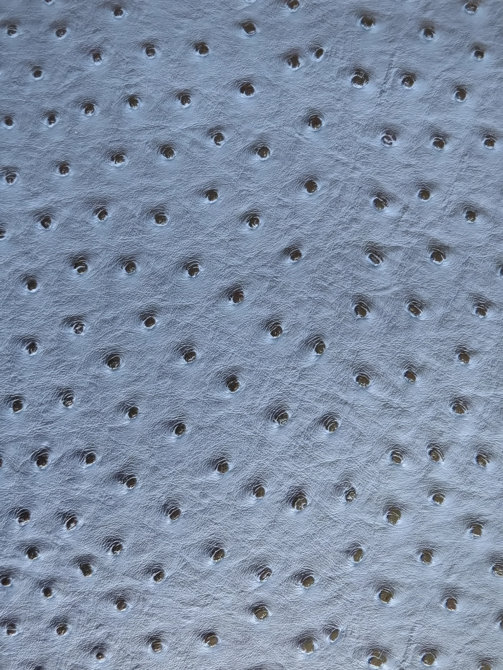 Blue Classic Ostrich Upholstery Vinyl Fabric / Sold By The Yard