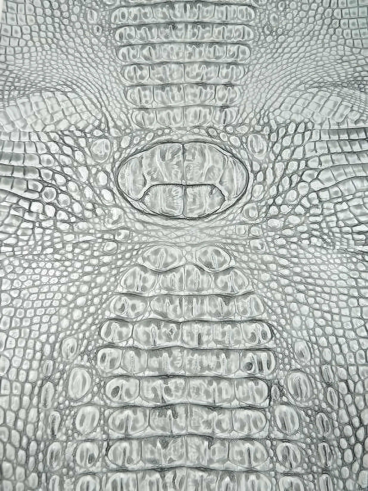 Cement/Silver Metallic Caiman Gator Vinyl / 30 Yard Roll
