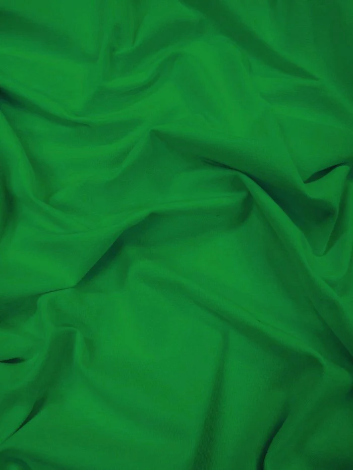 Cotton Jersey Spandex Apparel Fabric - Image 18