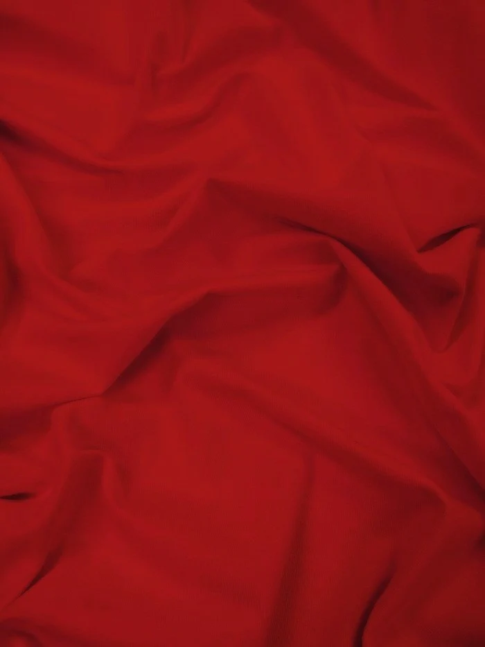 Cotton Jersey Spandex Apparel Fabric - Image 32