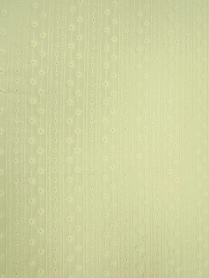 Eyelit Floral Stripe Embroidery Lace - Ivory