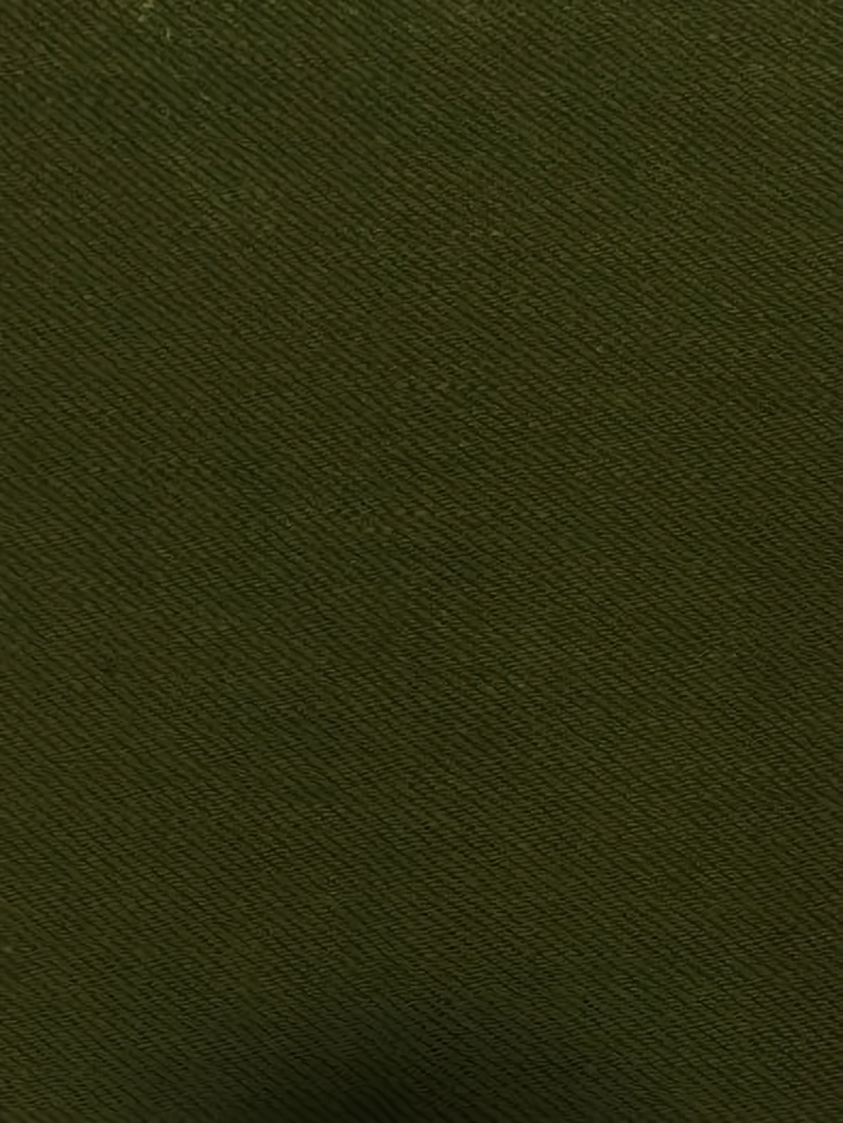Japanese Selvedge Denim Fabric / Olive (Japan Nihon Menpu)