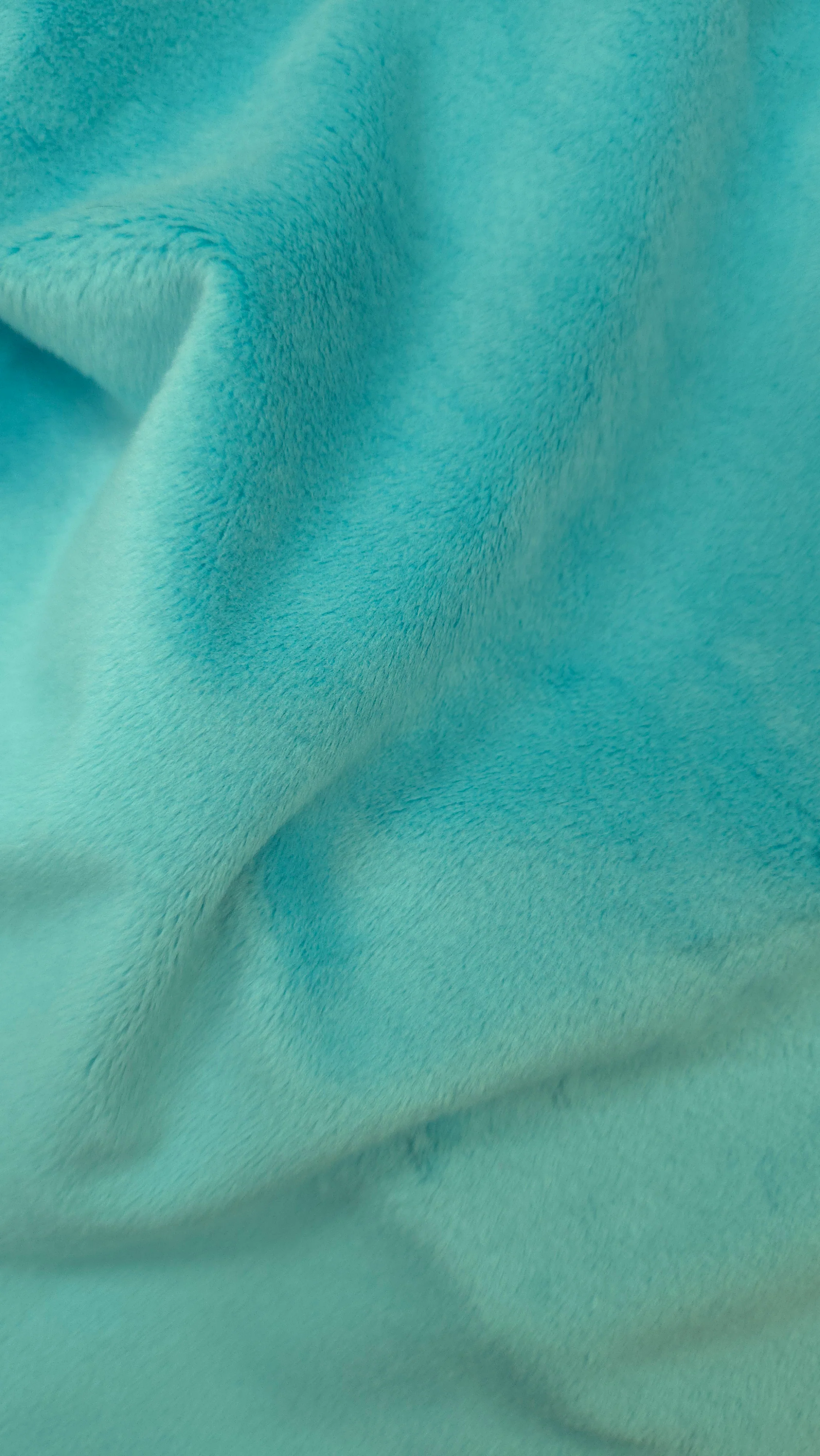 Belize Minky Solid Baby Soft Fabric - Image 2