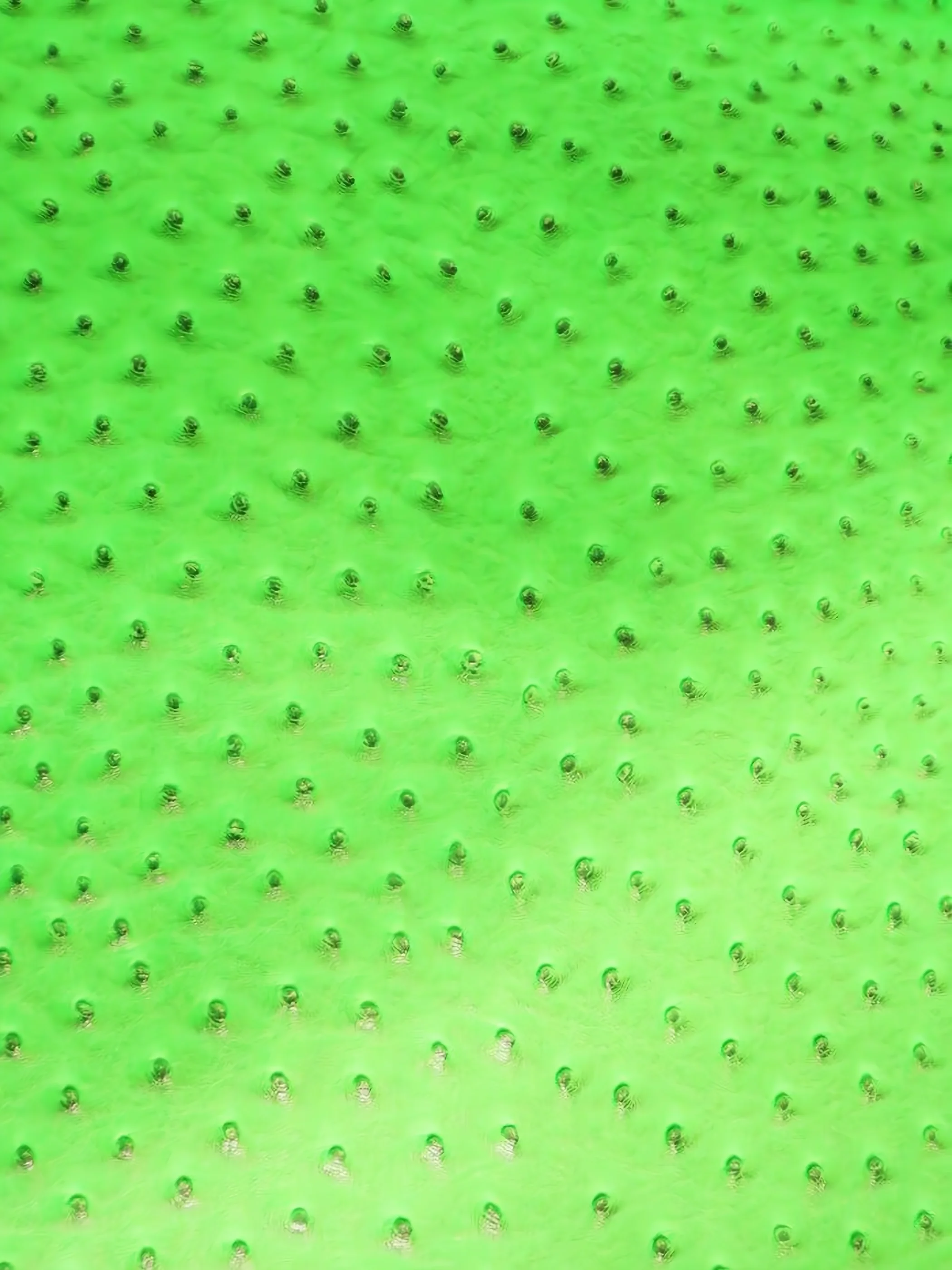 Neon Green Classic Ostrich Upholstery Vinyl Fabric / Sold By The Yard