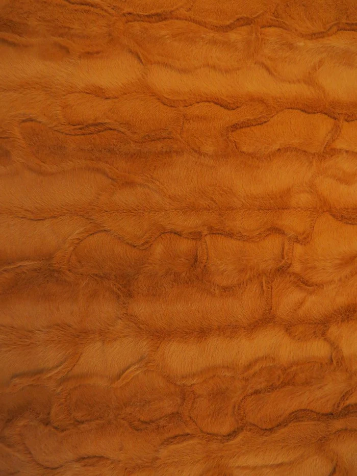 Bunny Rabbit Ultra Soft Snuggle Minky / Rust - Image 2