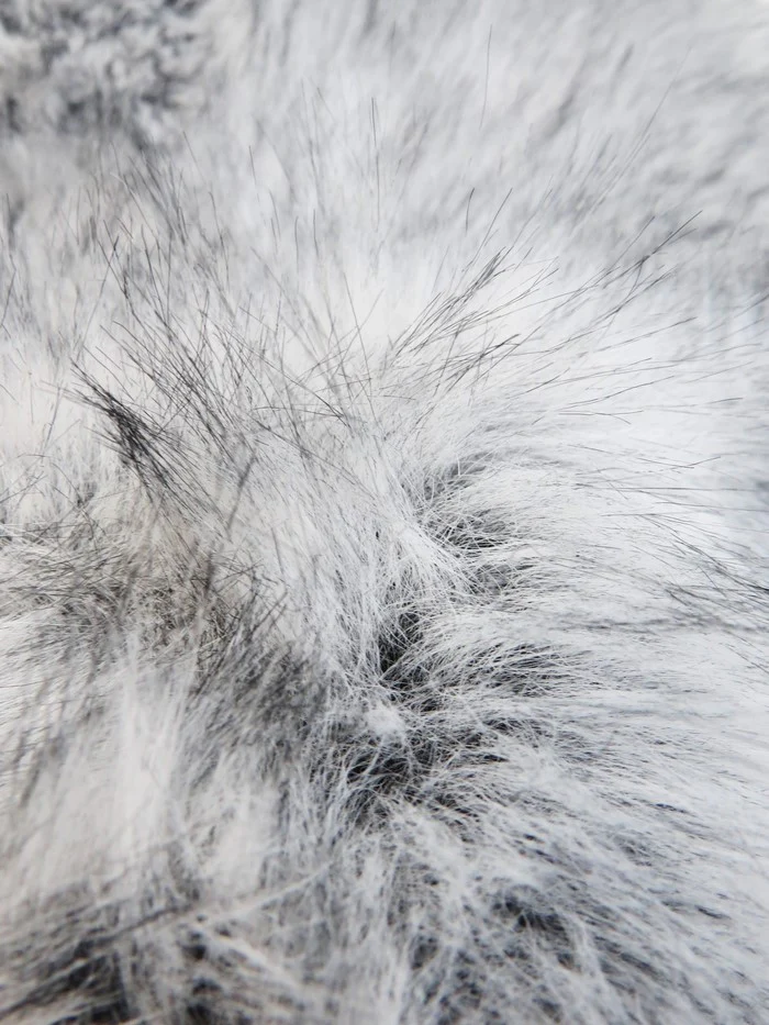 Silver Neo Wolf Anti-Shed Animal Faux Fur / Sold by the Yard - Image 6