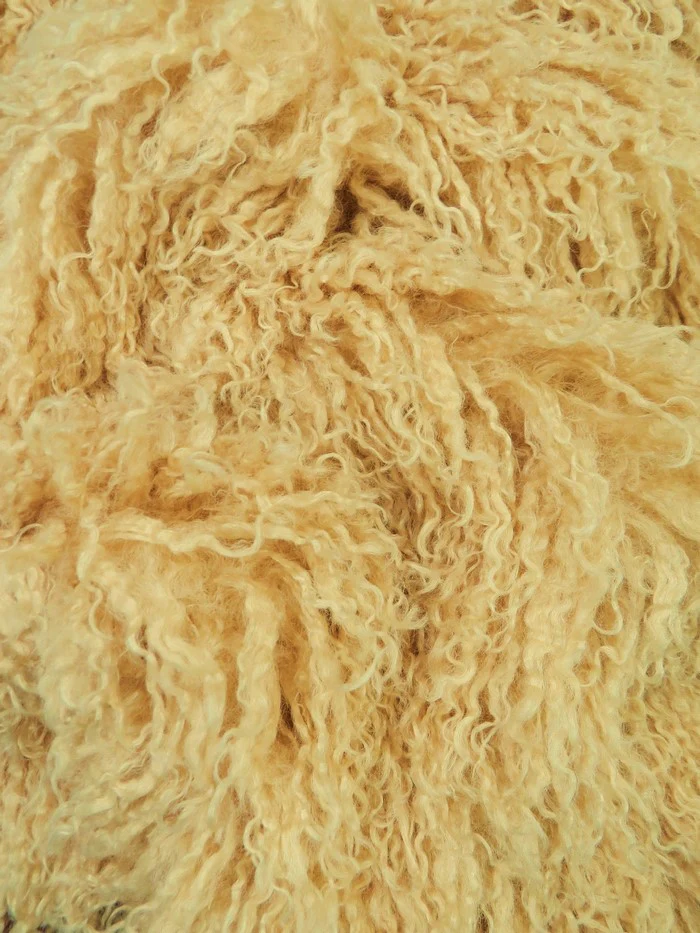 Ultra Curly Mongolian Poodle Minky Fabric - Image 14
