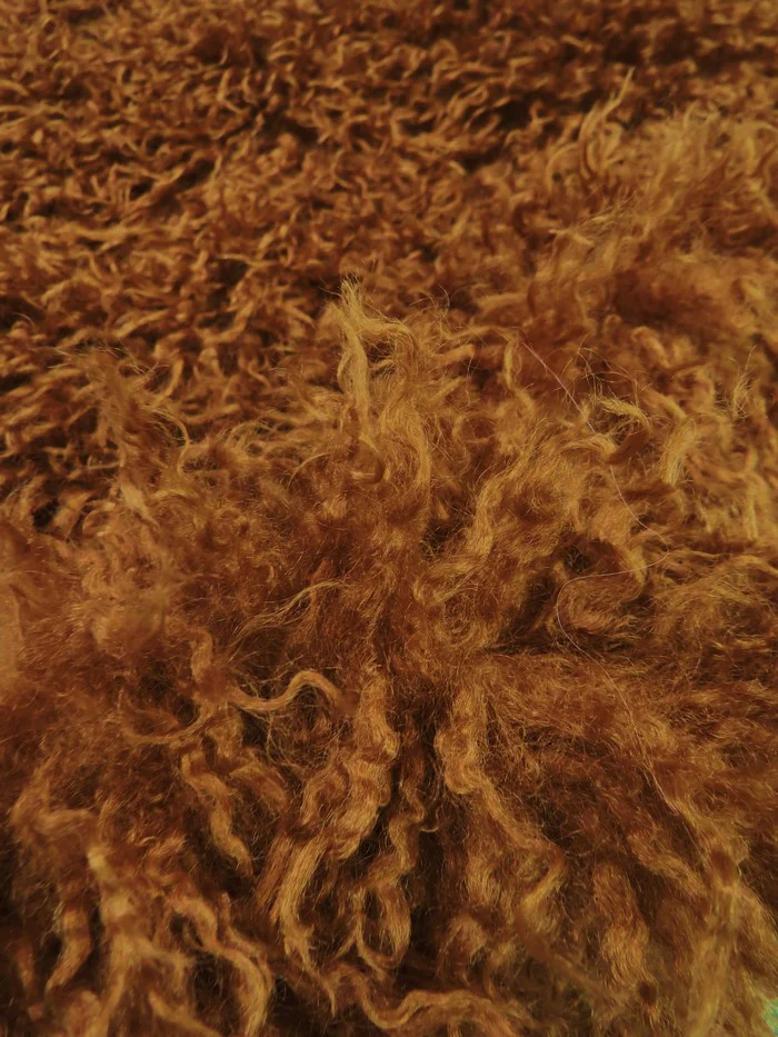 Ultra Curly Mongolian Poodle Minky Fabric - Image 5