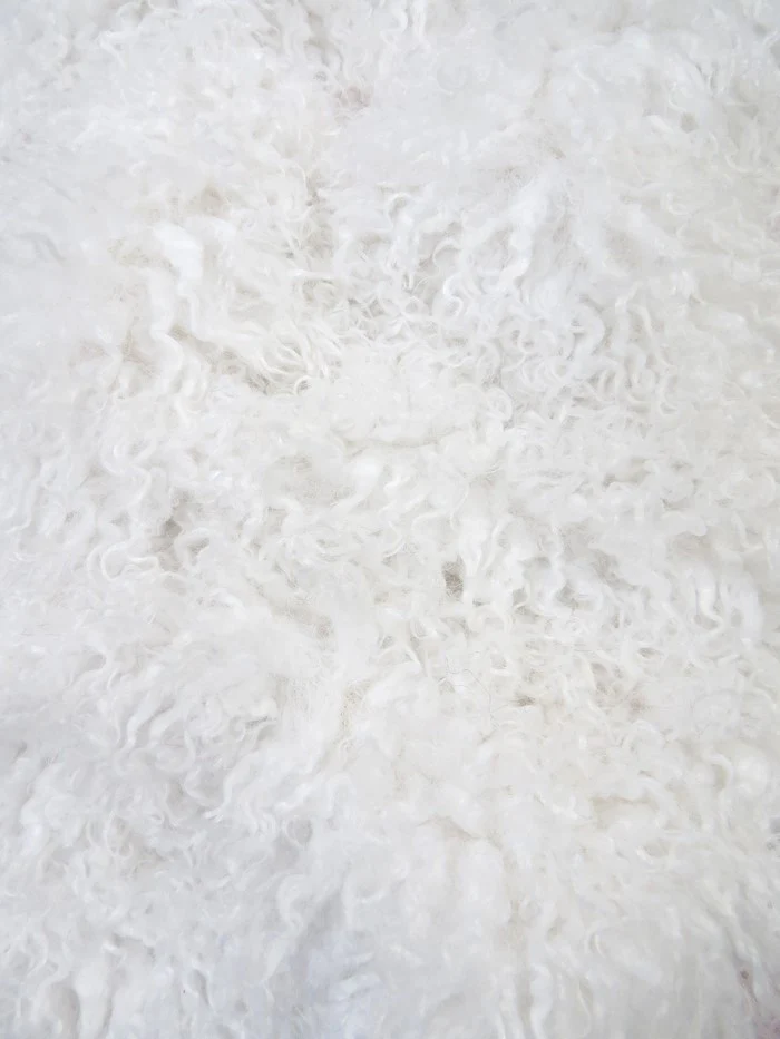 Ultra Curly Mongolian Poodle Minky Fabric - Image 8