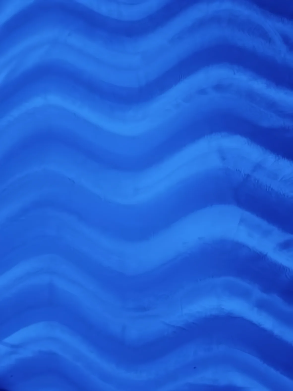 Royal Blue Velboa Solid Wavy Short Pile Fabric / Sold By The Yard