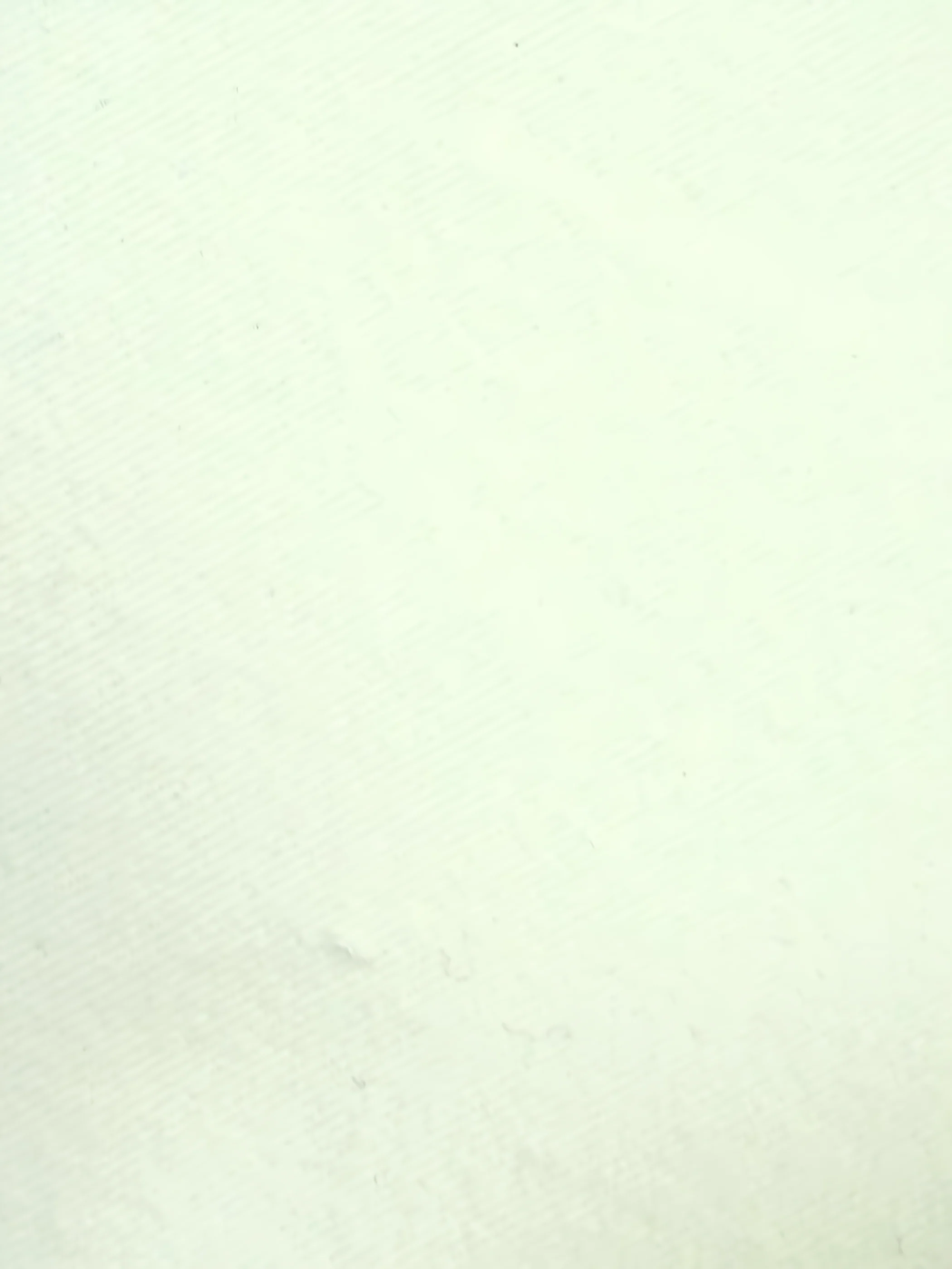White 270gsm 100% Cotton Peach Twill