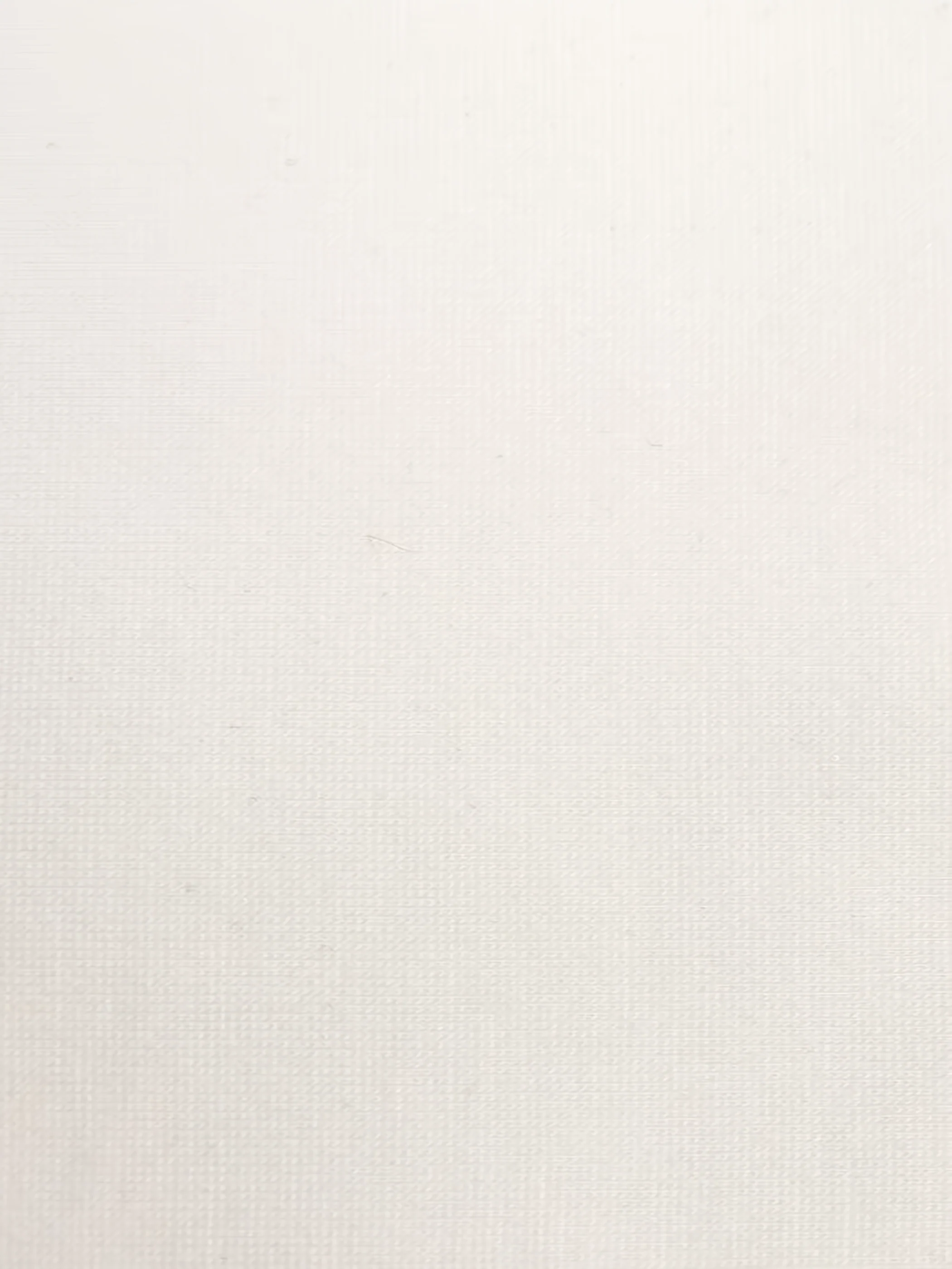 White 420 GSM 67% RAYON/28% NYLON/5 % SPANDEX CASANOVA Fabric