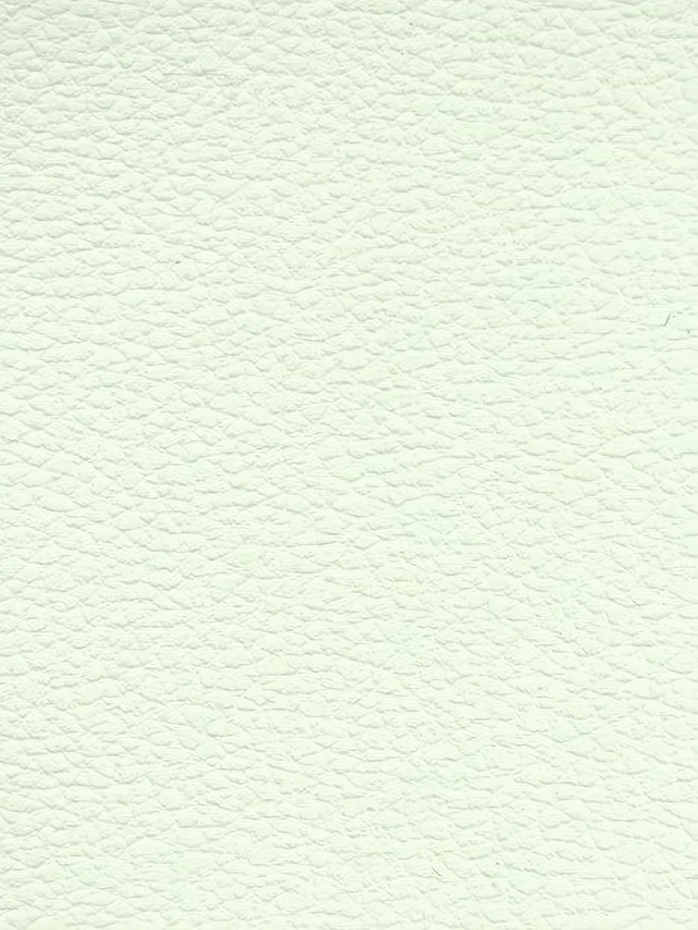 WHITE Premium Auto & Contract Vinyl - Palma Vinyl
